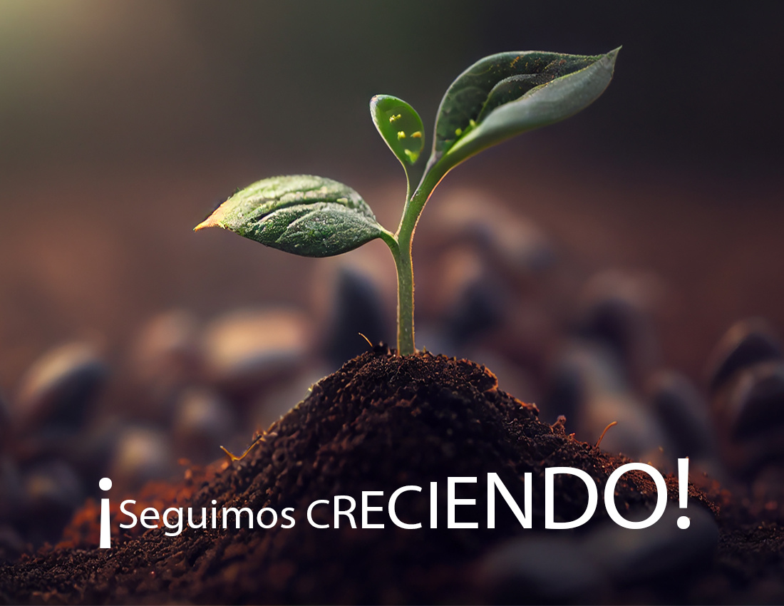 2. ¡Seguimos creciendo!